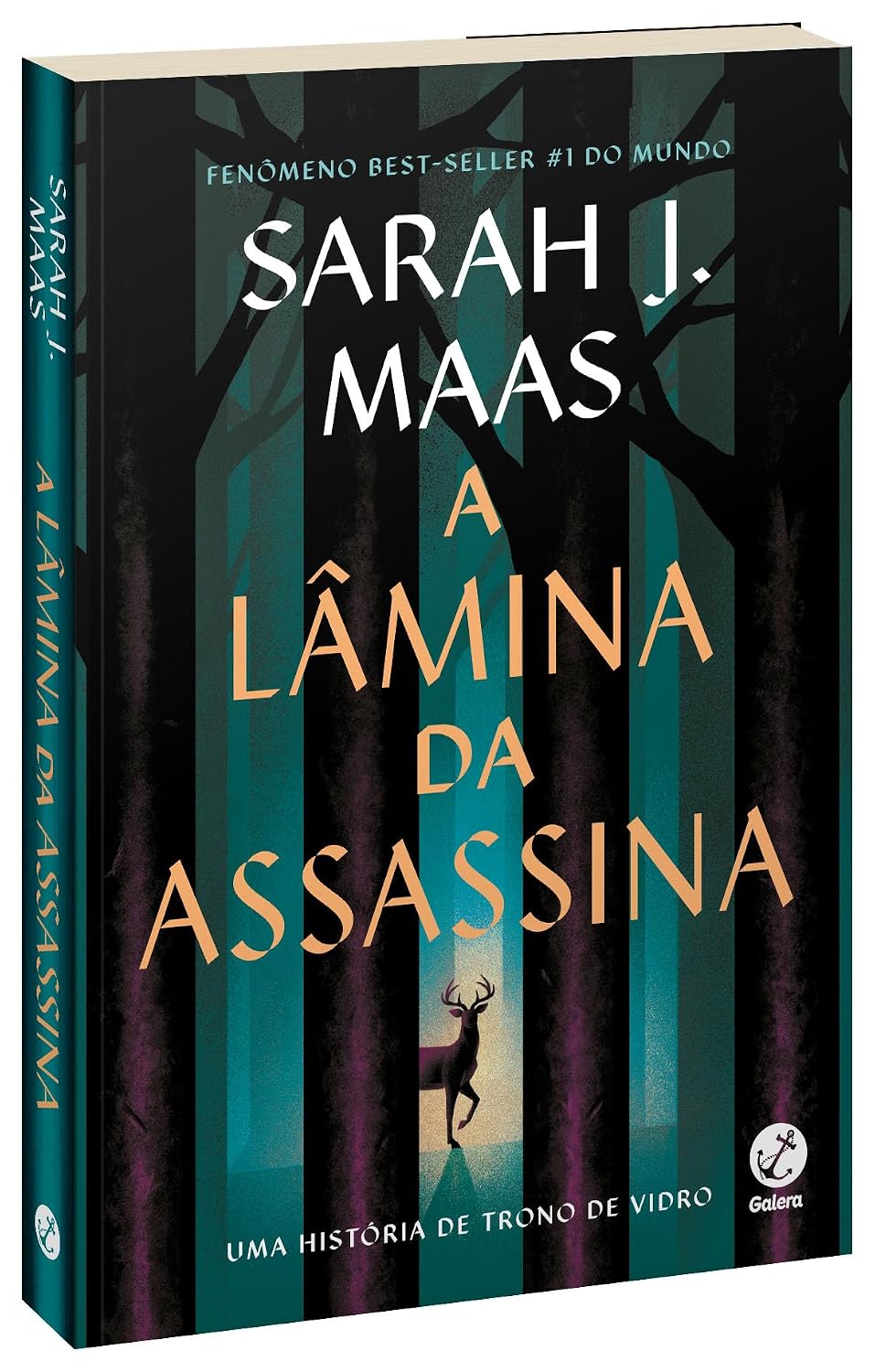 Box Trono de Vidro - Sarah J. Maas - Galera — foto 4