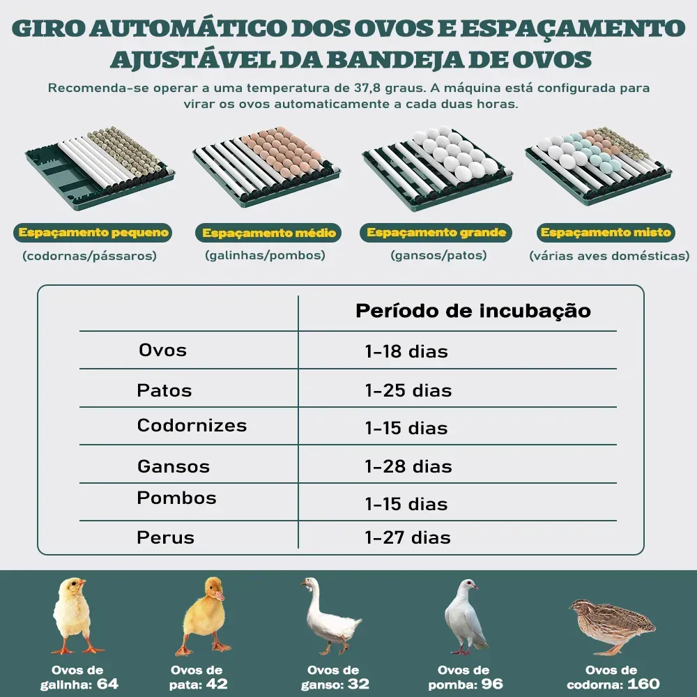 Chocadeira Incubadora Automática Tanque Água 130 Ovos Bivolt — foto 3
